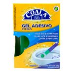 Gel Adesivo 37 G com Aplicador Citrus Coala
