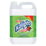 Desinfetante 5L Eucalipto Kalipto Bombril - Imagem 2